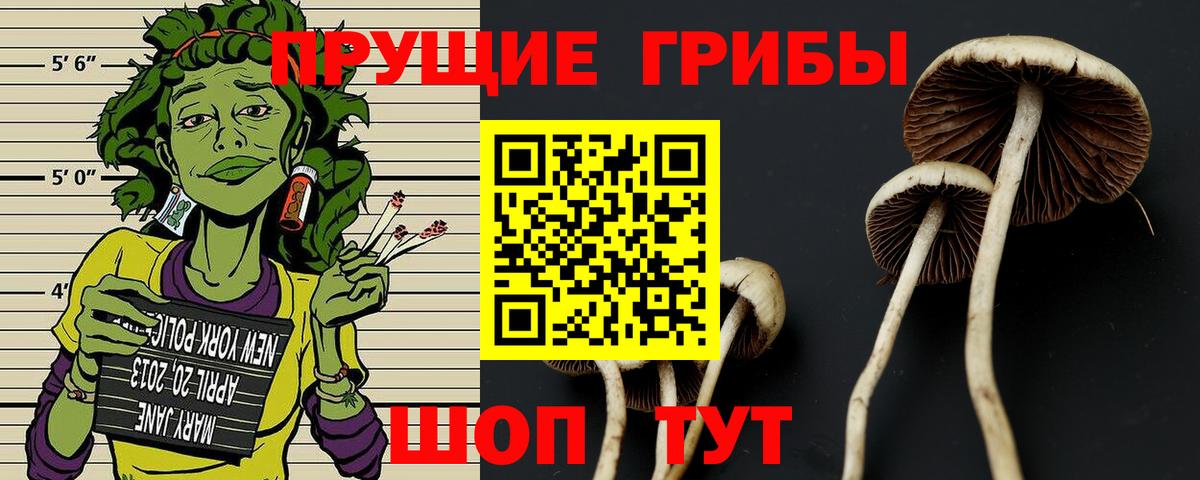 Псилоцибиновые грибы мухоморы  где купить наркоту  Вход с VPN  Ивантеевка  Галлюциногенные грибы MAGIC MUSHROOMS 