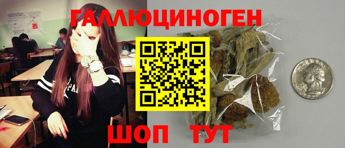 Галлюциногенные грибы Cubensis Ивантеевка